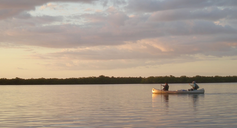 Two people paddle a canoe on calm water. The light appear soft, like the sun is setting or rising. There is a line of trees in the background.
