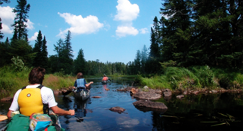 a group of gap year students paddle canoes through calm but rocky water on an outward bound course. Evergreen trees and tall grass line the shore.