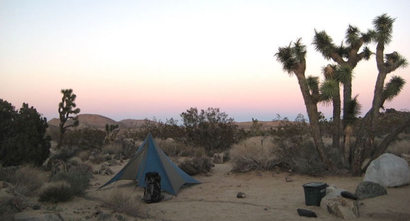 a tent rests in the sand of a desert landscape amid larger boulders and joshua trees