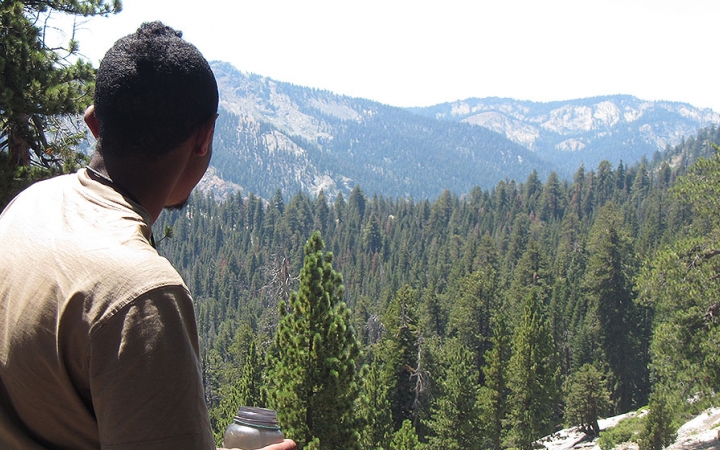A person faces away from the camera and looks out on a mountain vista covered in evergreen trees