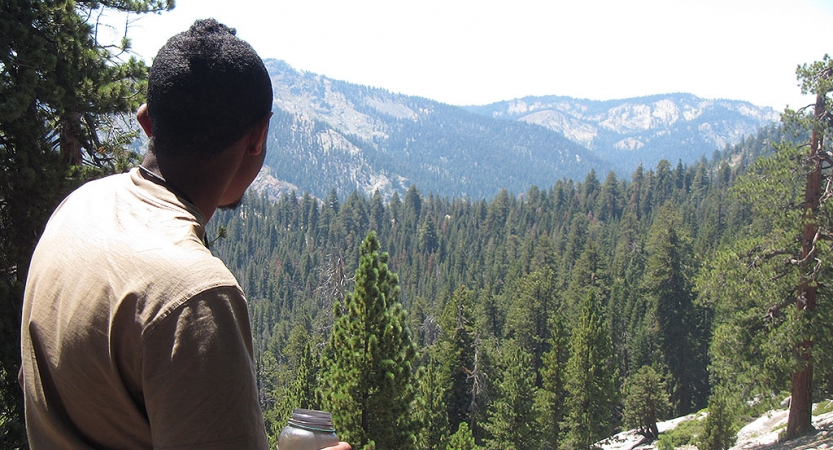 A person faces away from the camera and looks out on a mountain vista covered in evergreen trees