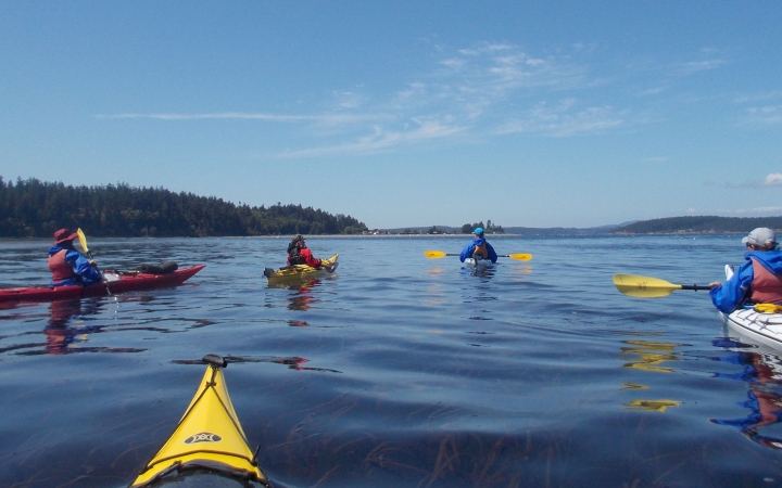 Northwest Sea Kayaking & Mountaineering for Adults | Outward Bound