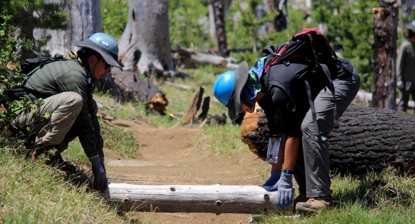 Stay in Shape- A Training Guide for Hikers & Backpackers - ALICE'S