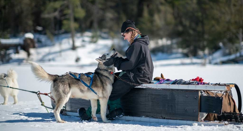 https://www.outwardbound.org/lib/image/thumbs/2020%20Course%20Upload_VOBS_Boundary%20Waters%20Dog%20Sledding%20&%20Cross%20Country%20Skiing%20for%20Adults_dogsledding5_WilliamDurland_833_450_crop_fill.jpg