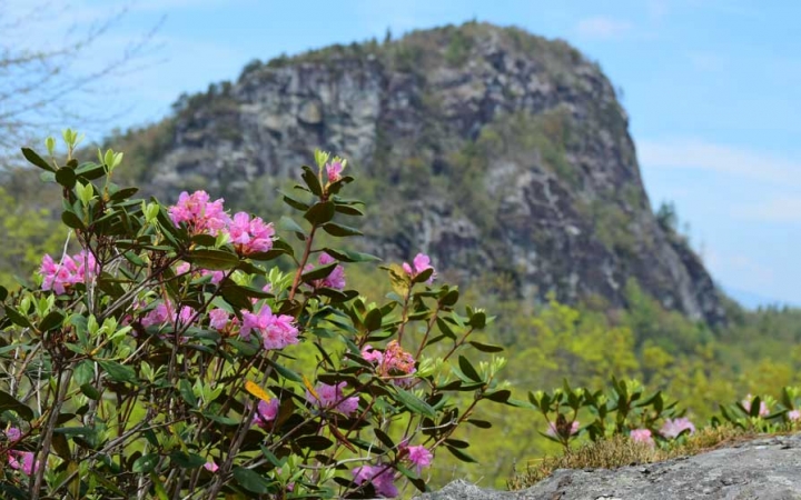 Outdoor Leadership Semester In North Carolina Outward Bound