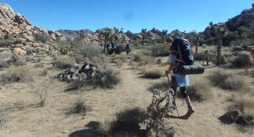 Backpacking Joshua Tree National Park